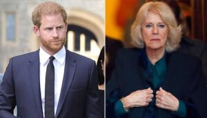 Report:The desperate attempt by Prince Harry to smear Queen Camilla has been exposed…