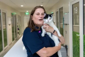 It is a pleasure to celebrate volunteers who help thousands of cats every year through charity…